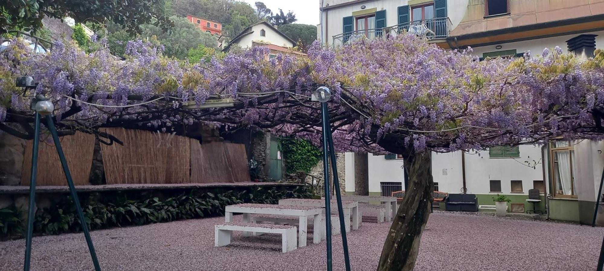 Hotel Residence Moneglia Eksteriør bilde